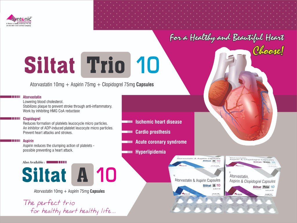Siltat-Trio-10 Visual